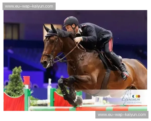 比分马术——让每一次骑乘都有意义